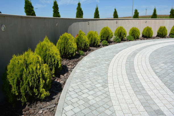 Best Driveway Paver Sealing  in Nicholson, GA